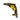 DeWalt DCF620NT 18V Brushless Drywall Screwdriver